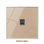 Internet (RJ45) aljzat