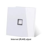 Internet (RJ45) aljzat